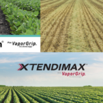 How the Dicamba Herbicide Ruling Alters Strategies for U.S. Cotton and Soybean Farmers